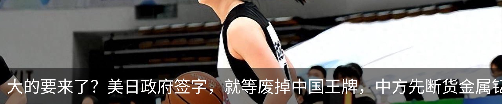新闻动态